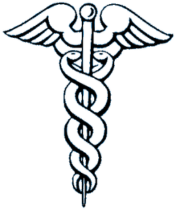 Pharmaceutical Industry